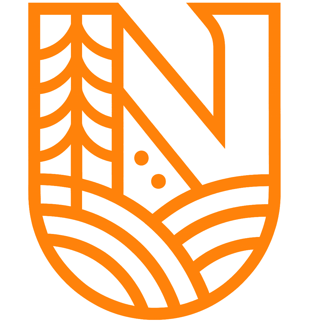 Nexa Studio Logo